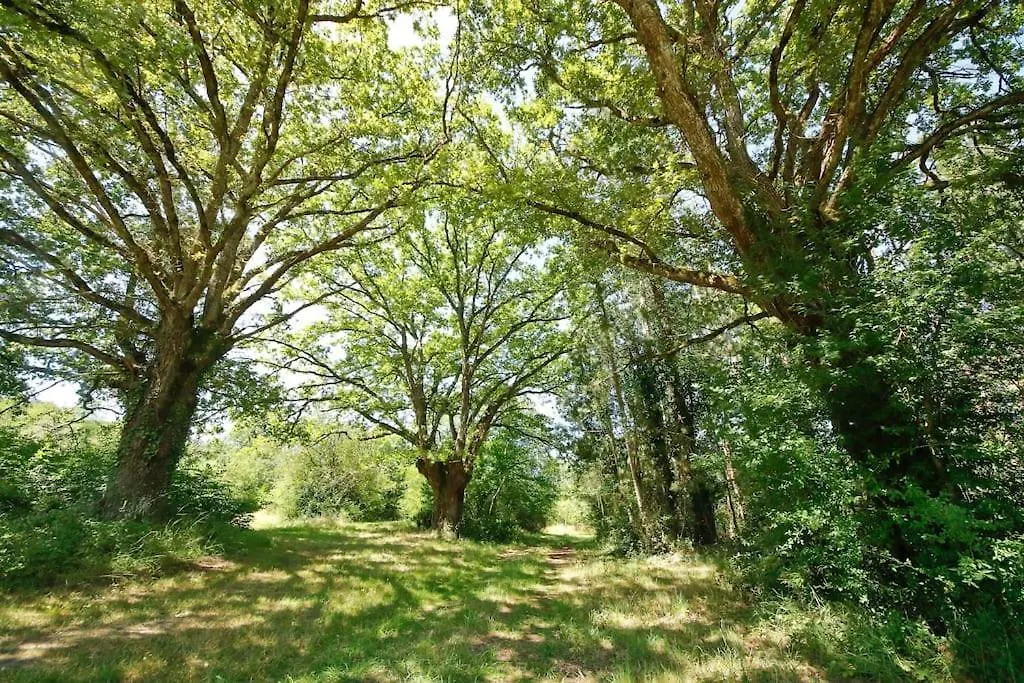 Domaine La Faix, Gite La Forestiere Saint-Plaisir Camping
